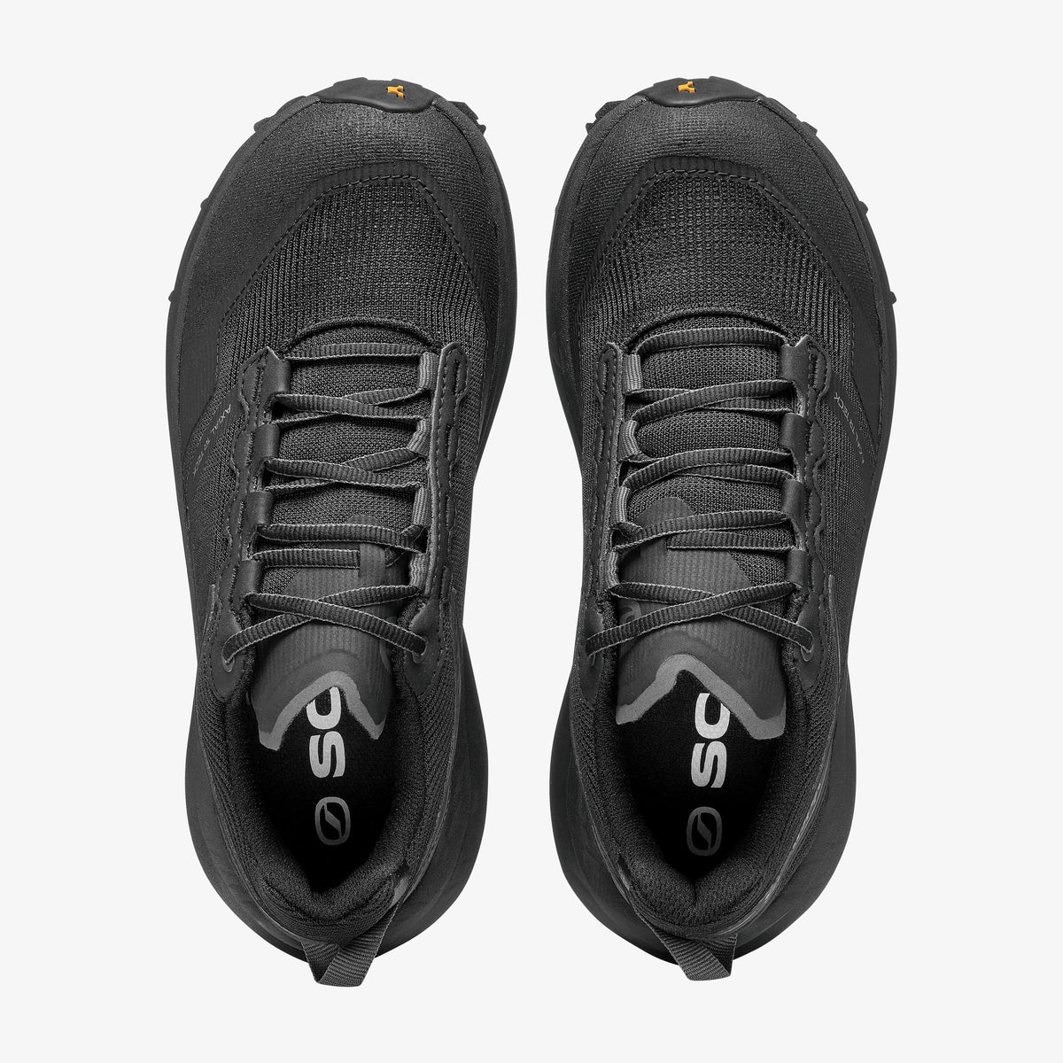 SP GTX-Y