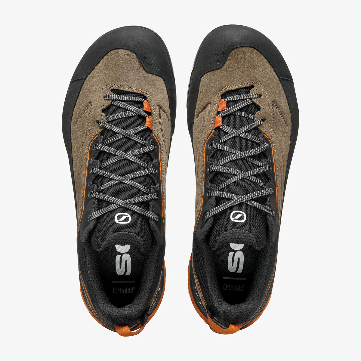Rapid XT GTX