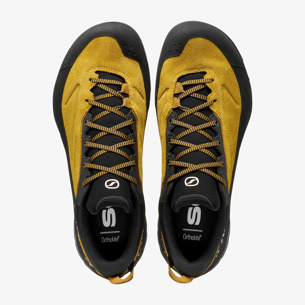 Rapid XT GTX
